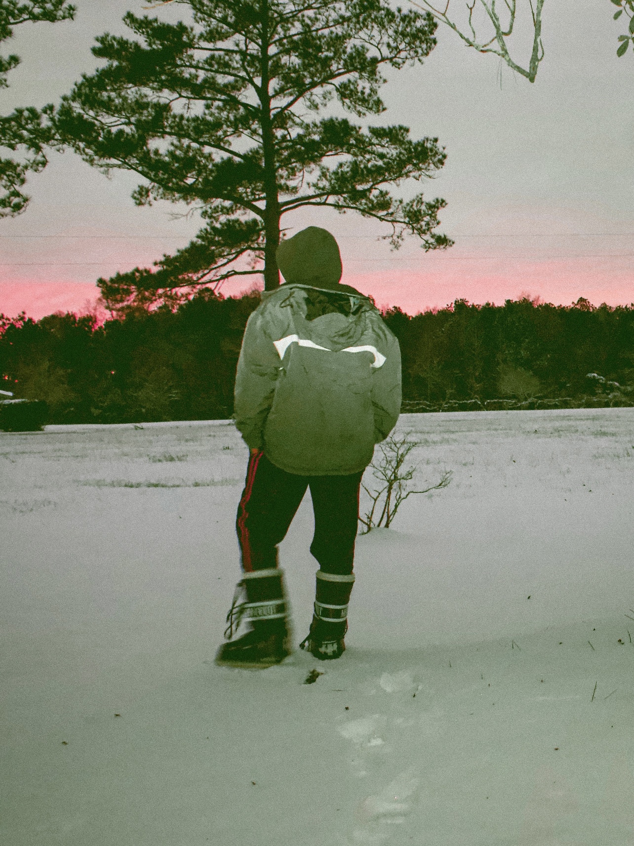 snowday3